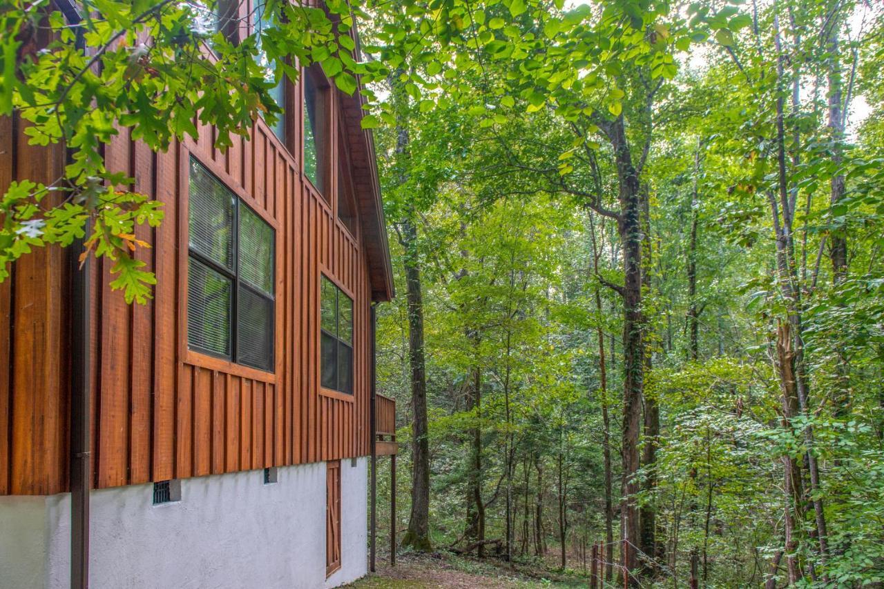 Friendly Bear Cabin 비둘기 포지 외부 사진