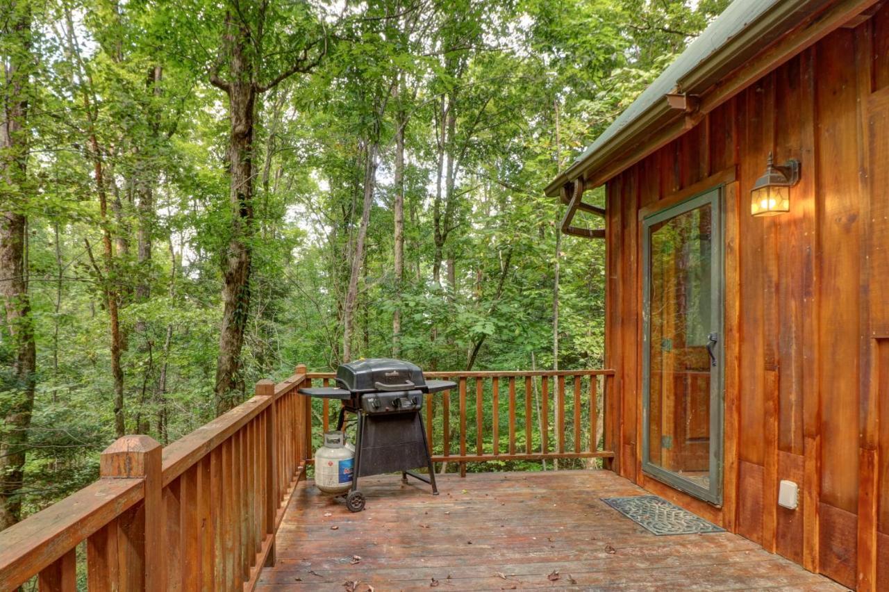 Friendly Bear Cabin 비둘기 포지 외부 사진